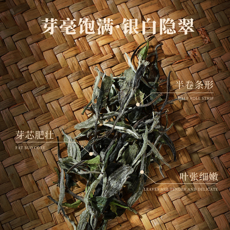 2024年 白牡丹福鼎白茶
