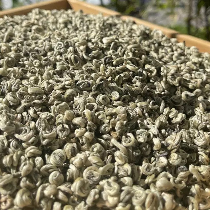 Full bud Biluochun green tea 2025 new tea Mingqian spring tea strong aroma Yunnan green tea single bud