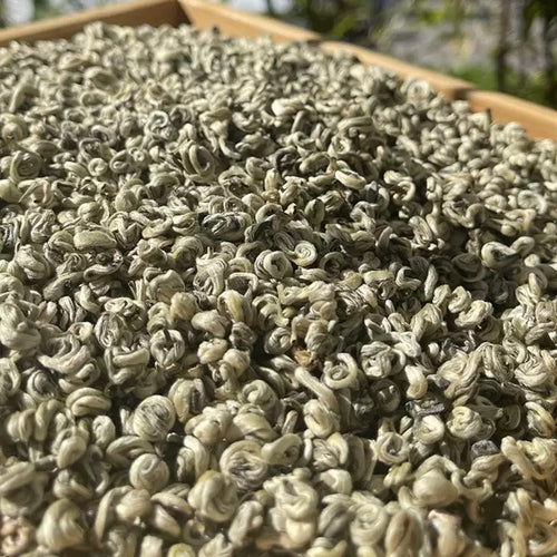 Full bud Biluochun green tea 2025 new tea Mingqian spring tea strong aroma Yunnan green tea single bud